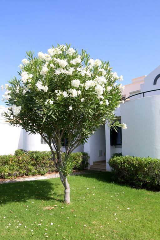 Cabana Da Ria Cabanas De Tavira Kültér fotó